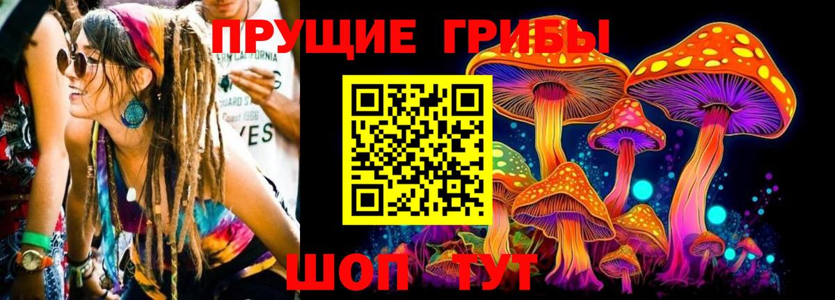 закладка  Галлюциногенные грибы ЛСД  Богородск  Вход с VPN  Псилоцибиновые грибы Magic Shrooms 