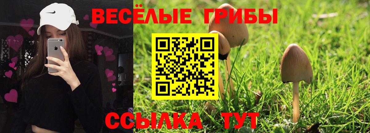Псилоцибиновые грибы GOLDEN TEACHER Богородск